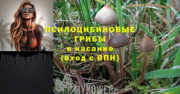 Альфа ПВП Белокуриха