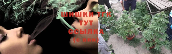 СК Балахна