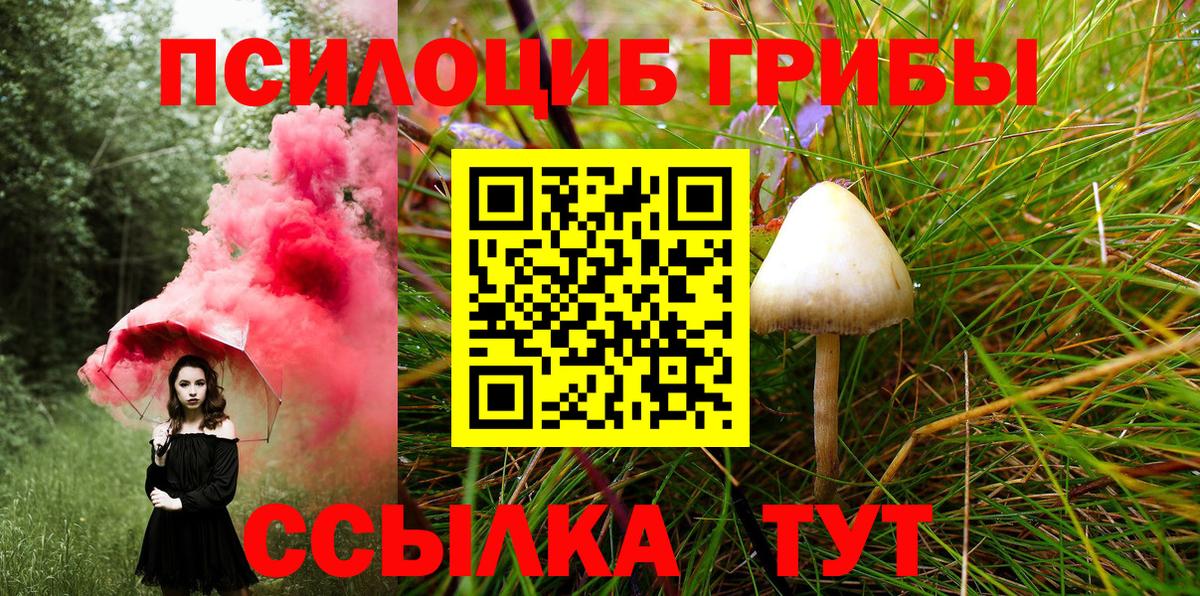 Галлюциногенные грибы Psilocybine cubensis Лобня