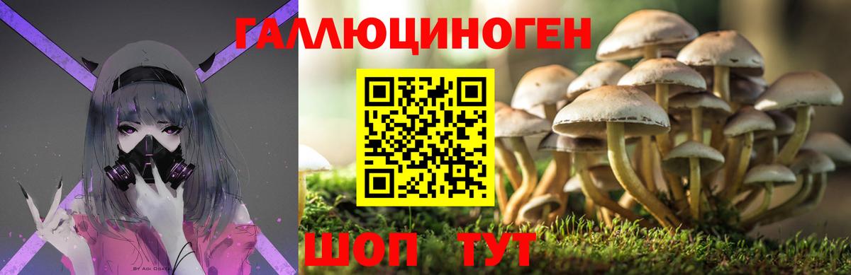 Псилоцибиновые грибы MAGIC MUSHROOMS  Лобня 