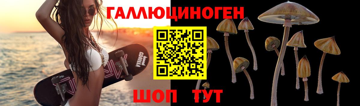 Галлюциногенные грибы Psilocybine cubensis  Вход с VPN  Лобня 